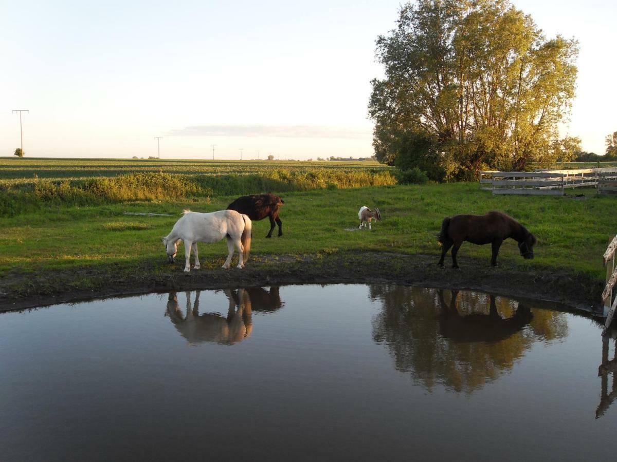 Villa Horse Lake Ranch Neuendorf  Exterior foto